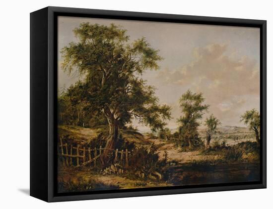 Landscape, with Pool and Tree in foreground, 1828-Patrick Nasmyth-Framed Premier Image Canvas