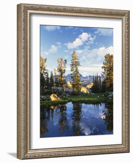 Landscape with Reflection of Lake, Wyoming, USA-Scott T. Smith-Framed Photographic Print