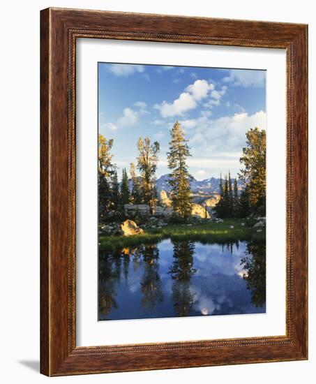 Landscape with Reflection of Lake, Wyoming, USA-Scott T. Smith-Framed Photographic Print