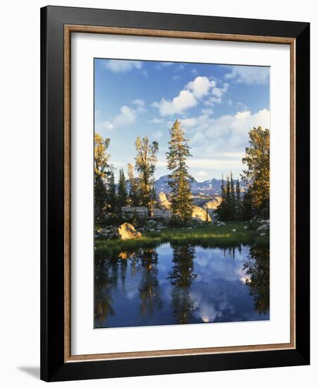 Landscape with Reflection of Lake, Wyoming, USA-Scott T. Smith-Framed Photographic Print