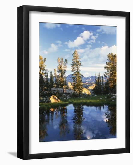 Landscape with Reflection of Lake, Wyoming, USA-Scott T. Smith-Framed Photographic Print