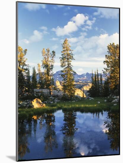 Landscape with Reflection of Lake, Wyoming, USA-Scott T. Smith-Mounted Photographic Print