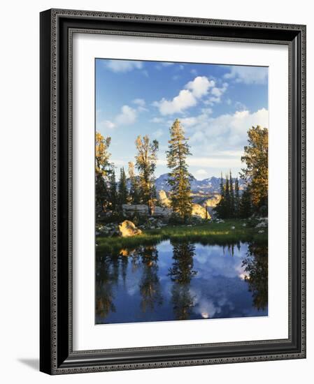 Landscape with Reflection of Lake, Wyoming, USA-Scott T. Smith-Framed Photographic Print