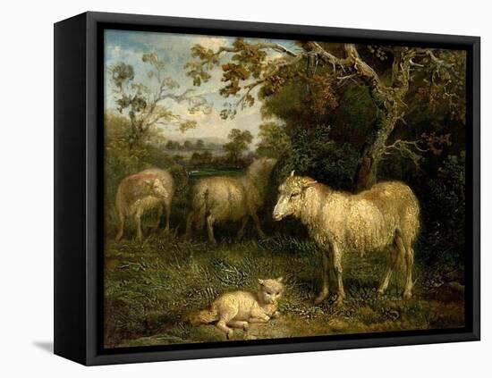 Landscape with Sheep (Oil on Canvas)-James Ward-Framed Premier Image Canvas