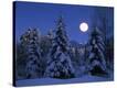 Stretched Canvas Print