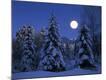 Premium Giclee Print