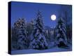 Stretched Canvas Print