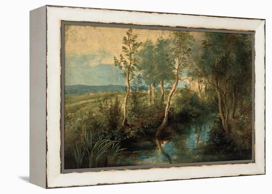 Landscape with Stream Overhung with Trees, 1637-1640-Peter Paul Rubens-Framed Premier Image Canvas