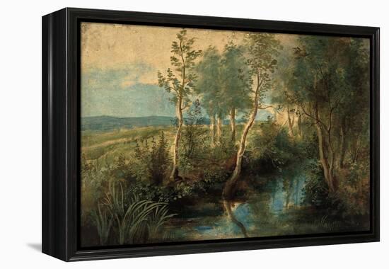 Landscape with Stream Overhung with Trees, 1637-1640-Peter Paul Rubens-Framed Premier Image Canvas