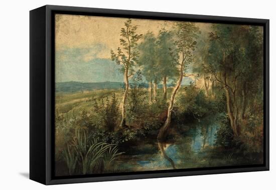 Landscape with Stream Overhung with Trees, 1637-1640-Peter Paul Rubens-Framed Premier Image Canvas