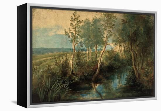 Landscape with Stream Overhung with Trees, 1637-1640-Peter Paul Rubens-Framed Premier Image Canvas