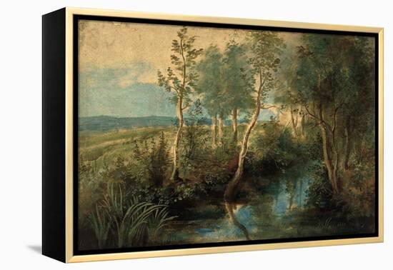 Landscape with Stream Overhung with Trees, 1637-1640-Peter Paul Rubens-Framed Premier Image Canvas