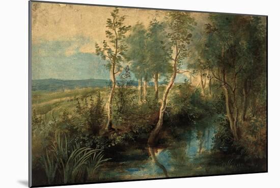 Landscape with Stream Overhung with Trees, 1637-1640-Peter Paul Rubens-Mounted Giclee Print