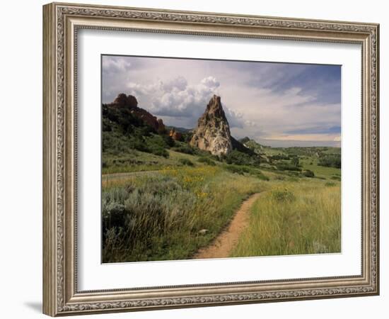Landscape With Sunflowers, Devil's Garden, Colorado Springs, Colorado, USA-Alison Jones-Framed Photographic Print