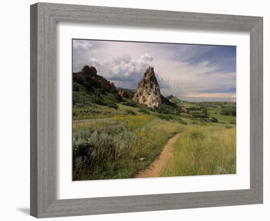 Landscape With Sunflowers, Devil's Garden, Colorado Springs, Colorado, USA-Alison Jones-Framed Photographic Print