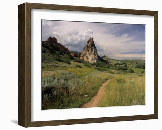 Landscape With Sunflowers, Devil's Garden, Colorado Springs, Colorado, USA-Alison Jones-Framed Photographic Print