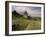 Landscape With Sunflowers, Devil's Garden, Colorado Springs, Colorado, USA-Alison Jones-Framed Photographic Print