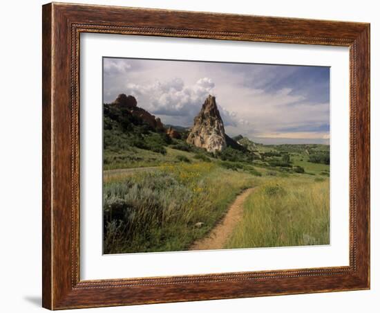 Landscape With Sunflowers, Devil's Garden, Colorado Springs, Colorado, USA-Alison Jones-Framed Photographic Print