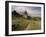 Landscape With Sunflowers, Devil's Garden, Colorado Springs, Colorado, USA-Alison Jones-Framed Photographic Print