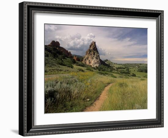 Landscape With Sunflowers, Devil's Garden, Colorado Springs, Colorado, USA-Alison Jones-Framed Photographic Print