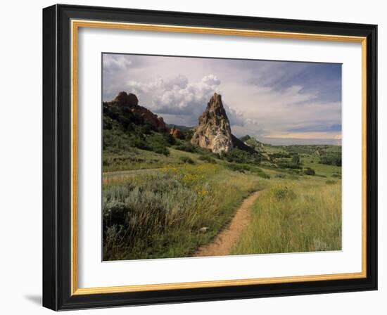 Landscape With Sunflowers, Devil's Garden, Colorado Springs, Colorado, USA-Alison Jones-Framed Photographic Print