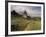 Landscape With Sunflowers, Devil's Garden, Colorado Springs, Colorado, USA-Alison Jones-Framed Photographic Print