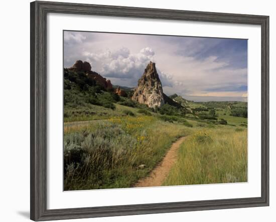 Landscape With Sunflowers, Devil's Garden, Colorado Springs, Colorado, USA-Alison Jones-Framed Photographic Print