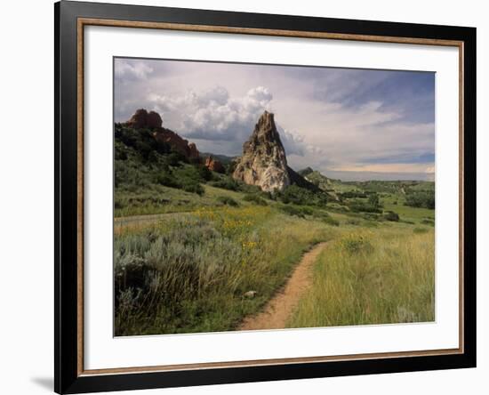 Landscape With Sunflowers, Devil's Garden, Colorado Springs, Colorado, USA-Alison Jones-Framed Photographic Print