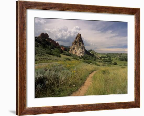 Landscape With Sunflowers, Devil's Garden, Colorado Springs, Colorado, USA-Alison Jones-Framed Photographic Print