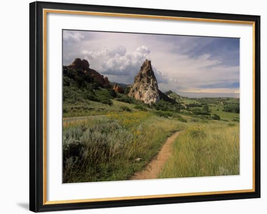 Landscape With Sunflowers, Devil's Garden, Colorado Springs, Colorado, USA-Alison Jones-Framed Photographic Print