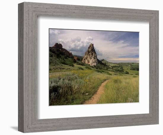 Landscape With Sunflowers, Devil's Garden, Colorado Springs, Colorado, USA-Alison Jones-Framed Photographic Print