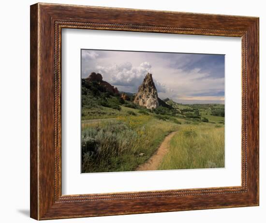 Landscape With Sunflowers, Devil's Garden, Colorado Springs, Colorado, USA-Alison Jones-Framed Photographic Print