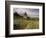 Landscape With Sunflowers, Devil's Garden, Colorado Springs, Colorado, USA-Alison Jones-Framed Photographic Print