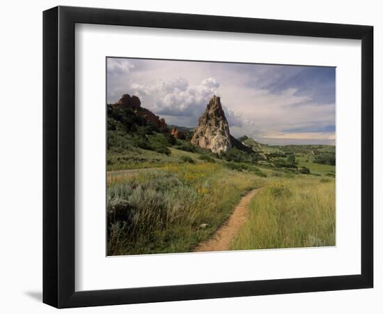 Landscape With Sunflowers, Devil's Garden, Colorado Springs, Colorado, USA-Alison Jones-Framed Photographic Print