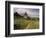 Landscape With Sunflowers, Devil's Garden, Colorado Springs, Colorado, USA-Alison Jones-Framed Photographic Print