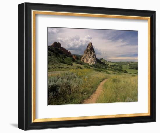 Landscape With Sunflowers, Devil's Garden, Colorado Springs, Colorado, USA-Alison Jones-Framed Photographic Print