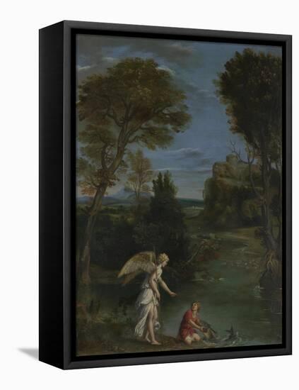 Landscape with Tobias Laying Hold of the Fish, C. 1612-Domenichino-Framed Premier Image Canvas