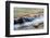 Landscape with view of small waterfall in stream, Banff National Park, Rocky Mountains, Alberta...-Panoramic Images-Framed Photographic Print