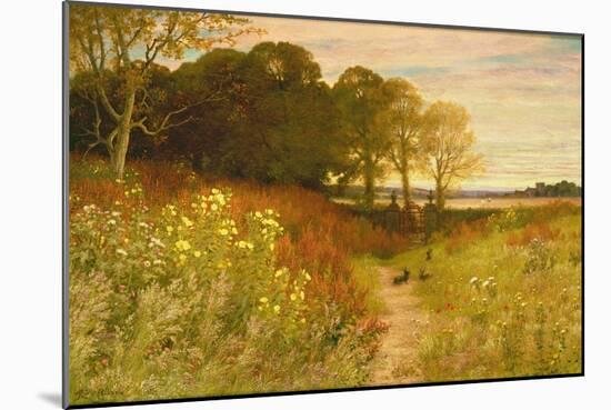 Landscape with Wild Flowers and Rabbits-Robert Collinson-Mounted Giclee Print