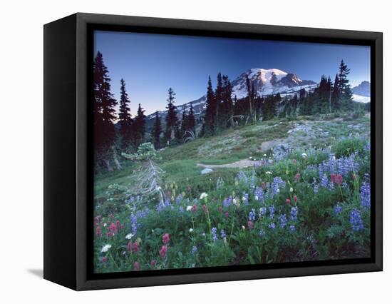 Landscape with Wild Flowers, Mount Rainier National Park, Washington State-Colin Brynn-Framed Premier Image Canvas