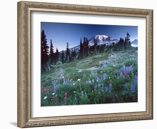 Landscape with Wild Flowers, Mount Rainier National Park, Washington State-Colin Brynn-Framed Photographic Print