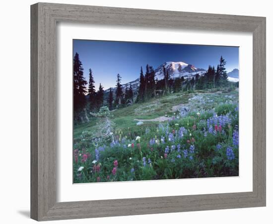 Landscape with Wild Flowers, Mount Rainier National Park, Washington State-Colin Brynn-Framed Photographic Print