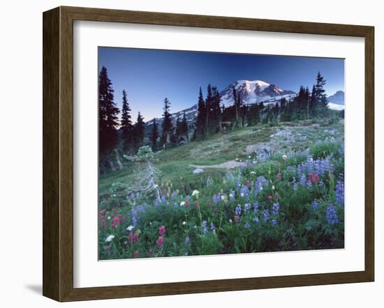 Landscape with Wild Flowers, Mount Rainier National Park, Washington State-Colin Brynn-Framed Photographic Print