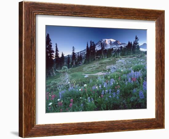 Landscape with Wild Flowers, Mount Rainier National Park, Washington State-Colin Brynn-Framed Photographic Print