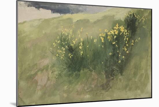 Landscape with Wildflowers-Edwin Austin Abbey-Mounted Giclee Print