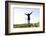 Landscape, Woman, Wind Turbines, Wind Power Station, Wind Park-Axel Schmies-Framed Photographic Print