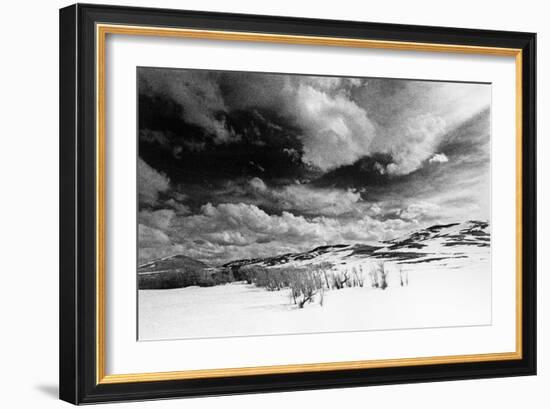 Landscape, Wyoming, USA-Simon Marsden-Framed Giclee Print