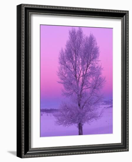 Landscape, Yellowstone National Park, Wyoming, USA-Art Wolfe-Framed Photographic Print