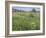 Landscape-Rusty Frentner-Framed Giclee Print