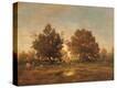 Stretched Canvas Print